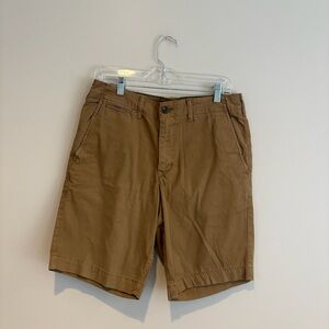 American Eagle Outfitters Next Level Flex Tan Flat Front Shorts